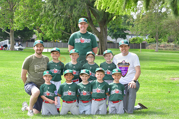TBTincaps063
