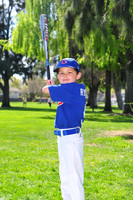 FMCubs002