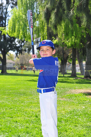 FMCubs002