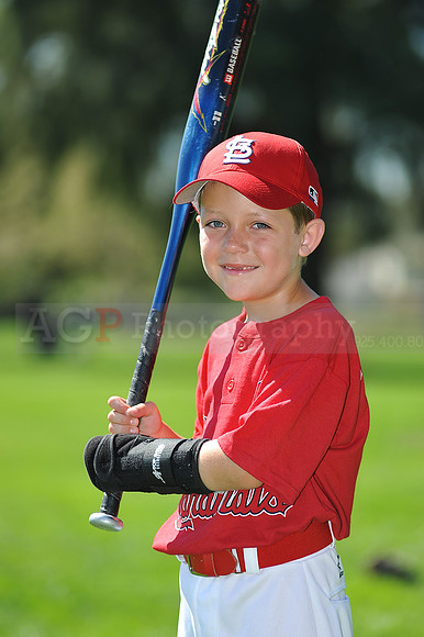 A_Cardinals008