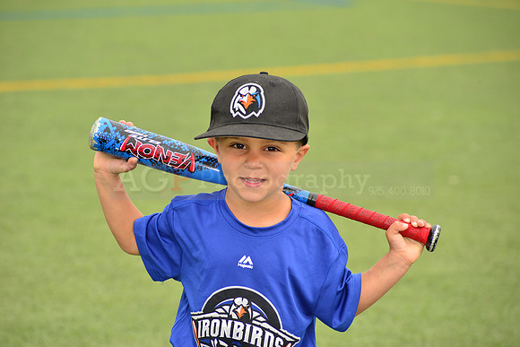 SB_TB_Ironbirds00007