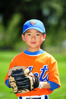 Farm_Mets010