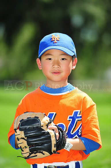 Farm_Mets010