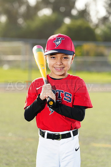 SB_TB_Bats055