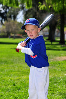 FMCubs006