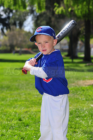 FMCubs006
