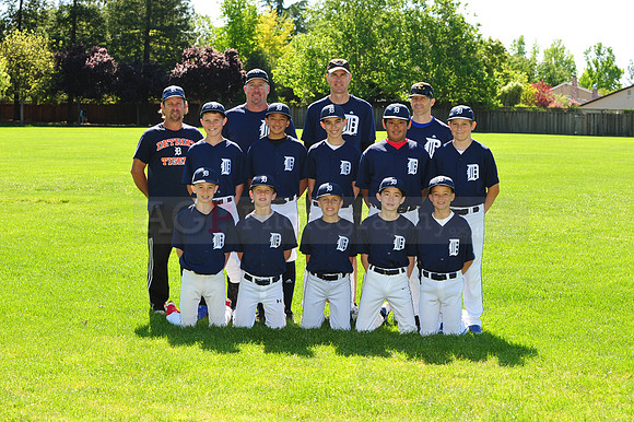 MTigers081