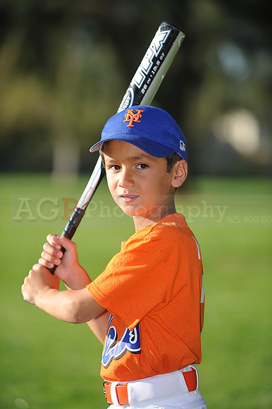 A_Mets019