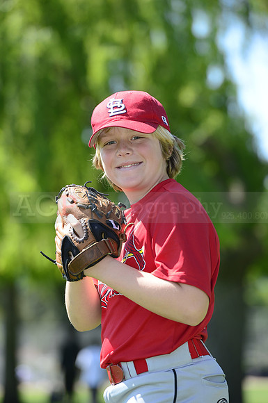 AAA Cards051