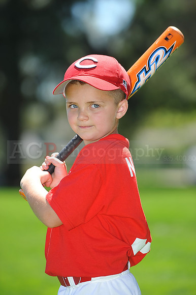 T-Ball_Reds038