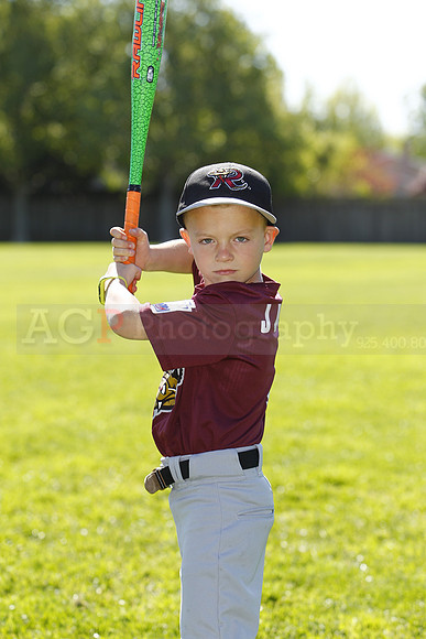 ATimberRattlers086