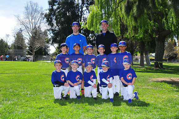 FMCubs043