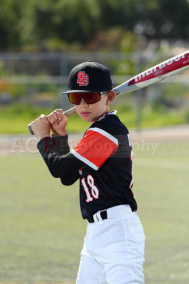 SB_BR_Giants015