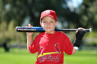 A_Cardinals010