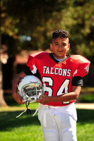 Falcons001