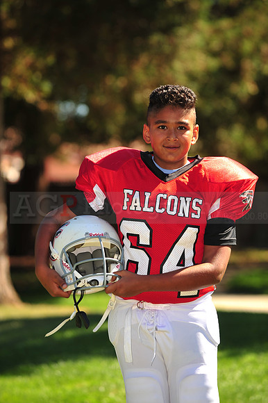 Falcons001