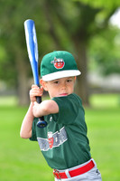 TBTincaps004