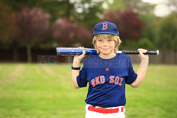 AARedsox088