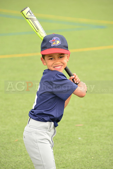 SB_TB_mudhens00016