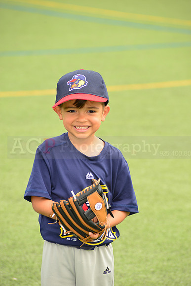SB_TB_mudhens00057