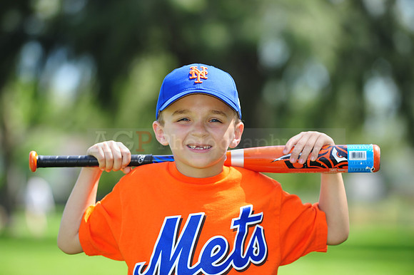 Farm_Mets074