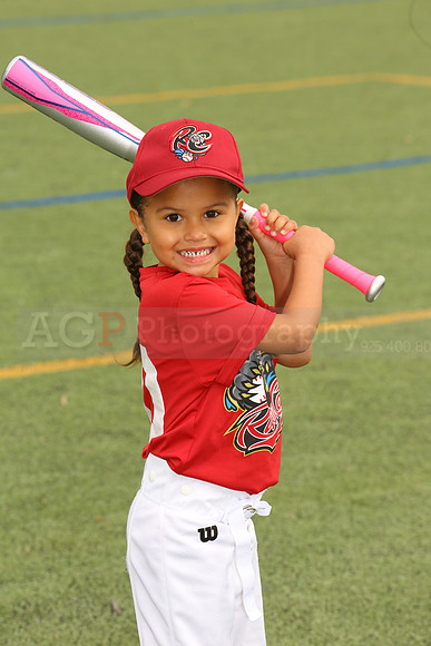 SB_TB_Ironpigs00062