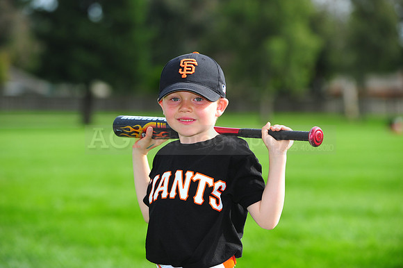 Farm_Giants150