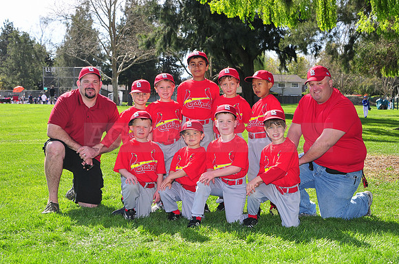 TBCardinals032