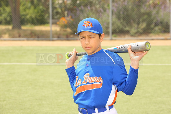 SB_BR_Mets00015