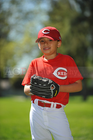 Farm_Reds088