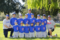 AA CUBS