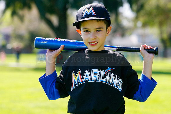 TBMarlins041