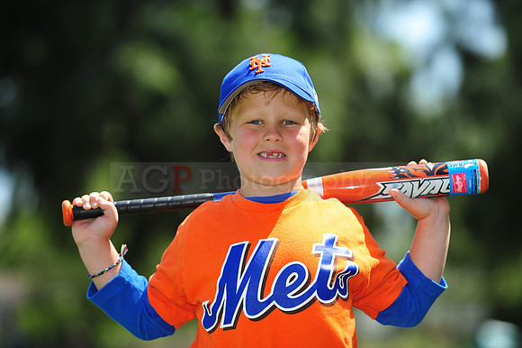 Farm_Mets058