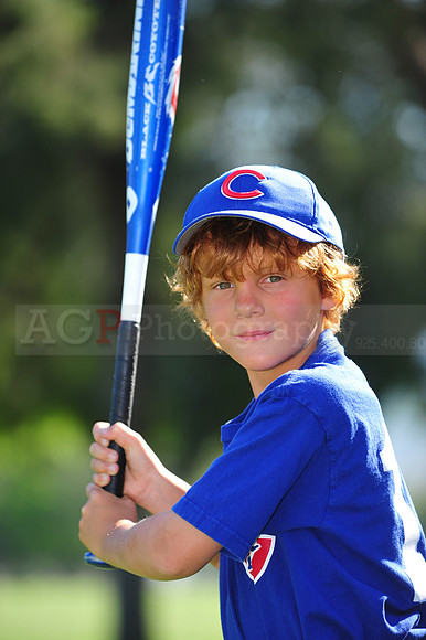 Farm_Cubs104