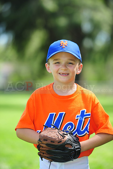 Farm_Mets076