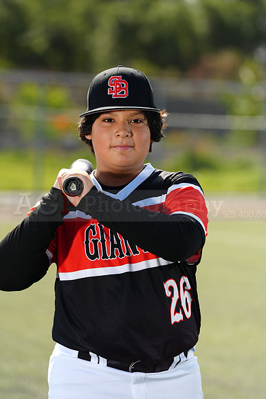 SB_BR_Giants021