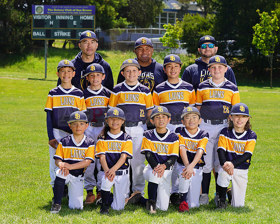 SB_PW_Lions102