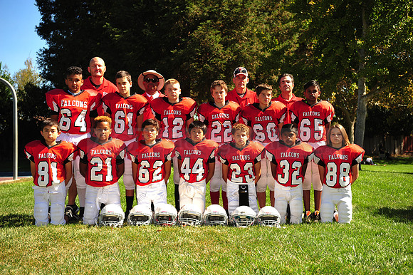 Falcons075