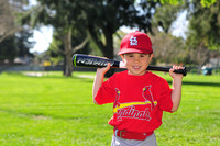 TBCardinals019