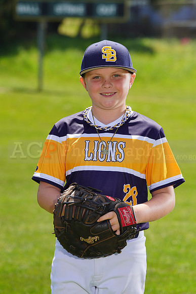 SB_PW_Lions020
