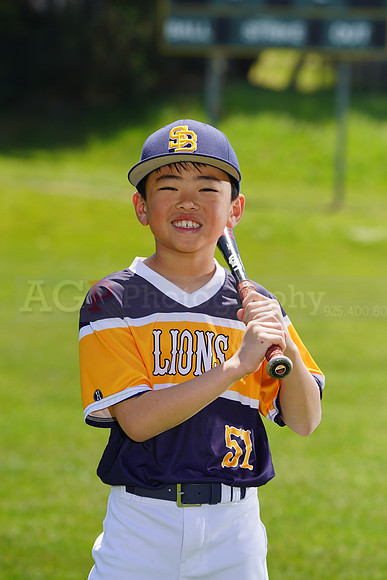 SB_PW_Lions075