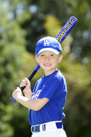 FarmDodgers025