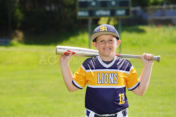 SB_PW_Lions008
