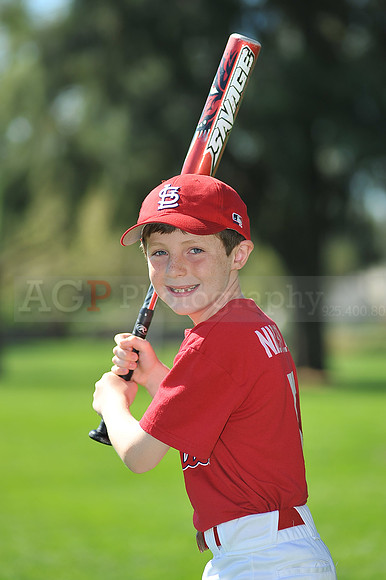 AA_Cardinals037