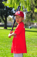 TBCardinals009