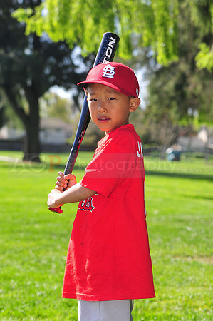 TBCardinals009
