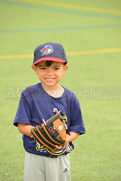 SB_TB_mudhens00055