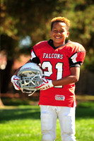 Falcons006