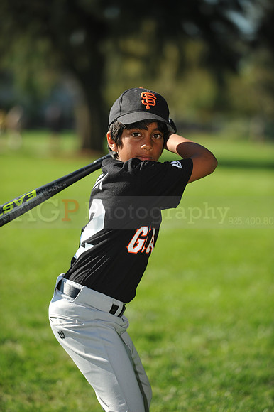A_Giants048