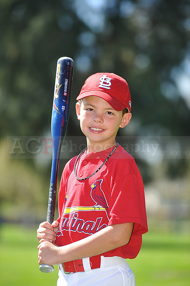 A_Cardinals015